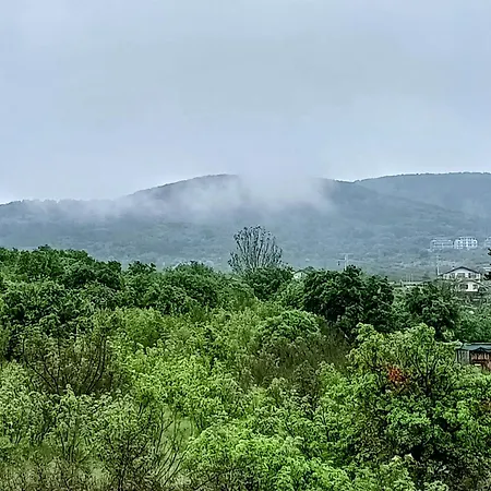 Apartment Hills View
